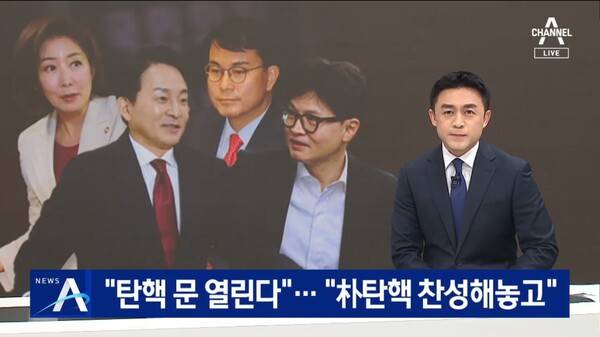▲채널A가 1일 뉴스A에서 탄핵이슈를 여당에서 부추긴다 우려가 나온다고 보도하고 있다. 사진=채널A 뉴스A 영상 갈무리