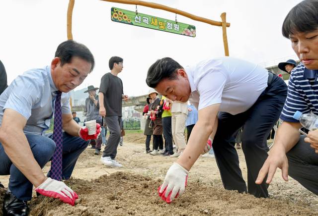 ▲김동근 시장이 신곡새빛정원에서 열린 해바라기 파종행사에서 참석자들과 함께 해바라기 씨앗을 뿌리고 있다.ⓒ의정부시