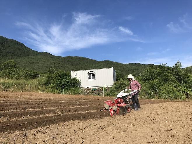 관리기로 두둑을 만들고 있다.