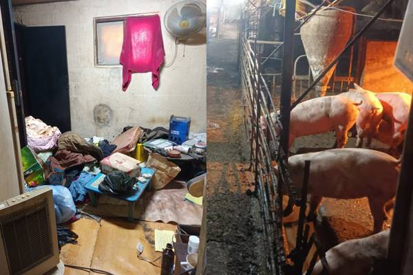 경기 포천시의 한 돼지농장에서 숨진 뒤 인근 야산에 유기된 태국인 근로자의 숙소 모습(왼쪽). 포천이주노동자센터 제공