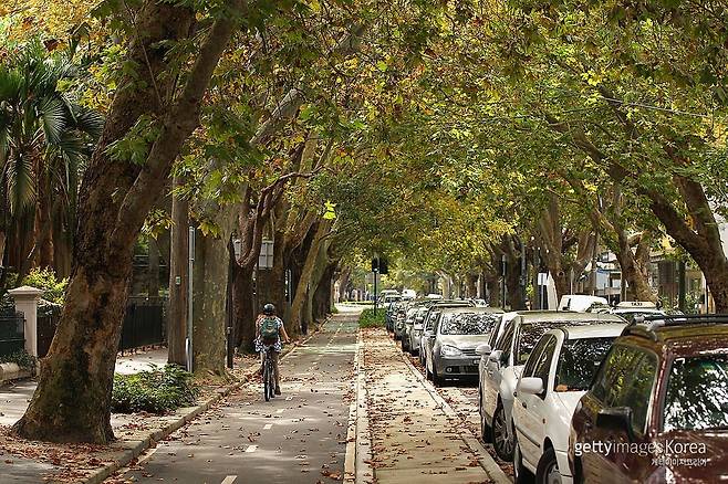 사진=게티이미지코리아.