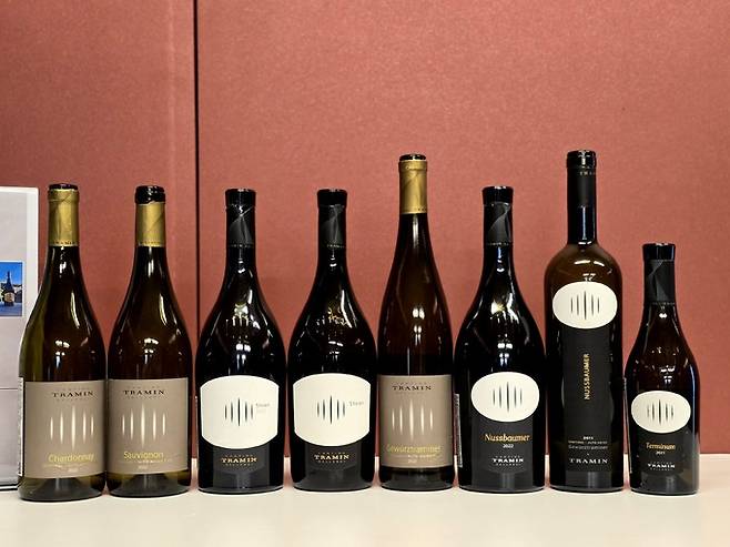 칸티나 트라민 와인. 최현태 기자