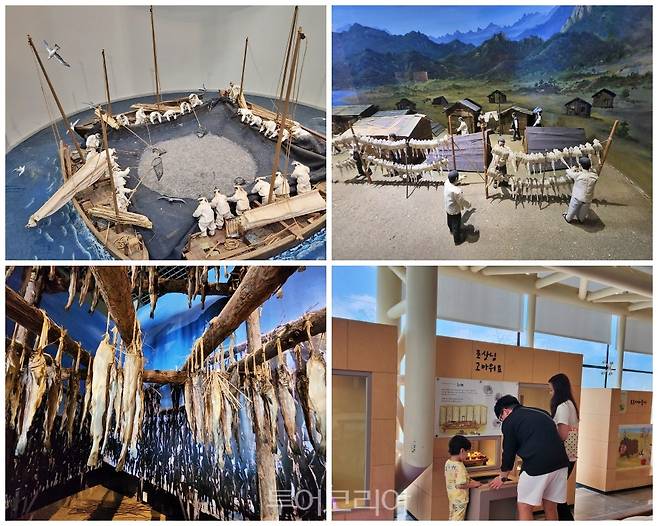 속초시립박물관