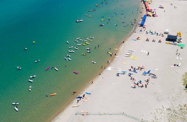 서퍼들이 동해 대진해변에서 서핑을 즐기고 있다. 동해시 제공