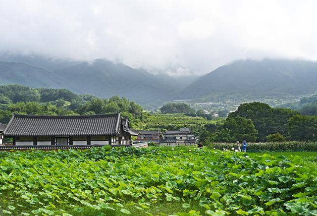 실상사 입구 연꽃 연못 뒤로 삼봉산 능선 아래에 자리 잡은 중황마을, 상황마을이 보인다.