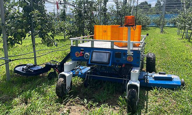 농촌진흥청이 개발한 제초 로봇이 과수원에서 농작업을 하고 있다. 농촌진흥청 제공