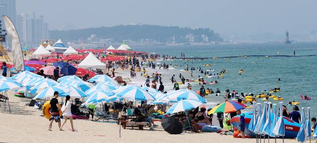 피서객들이 지난 4일 강원 강릉시 경포해수욕장에서 물놀이를 즐기고 있다. 경포, 안목 등 동해안 해수욕장은 지난 6월 29일 개장했다. 연합뉴스