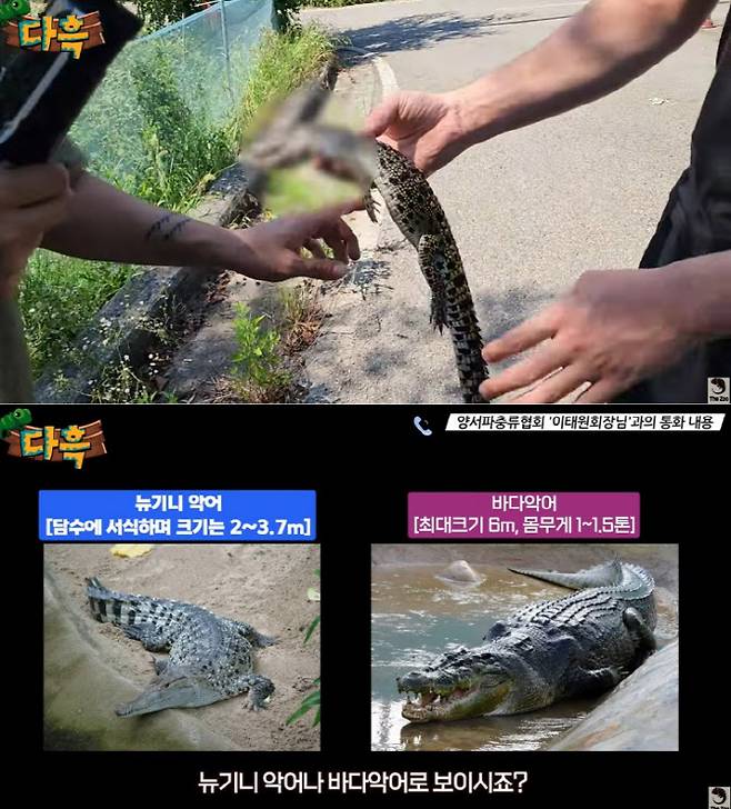 (사진='다흑' 유튜브 영상 캡처)