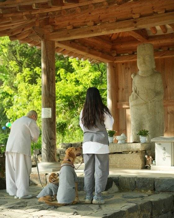 충북 증평 미륵사 댕플스테이. 사진출처 반려생활 인스타그램