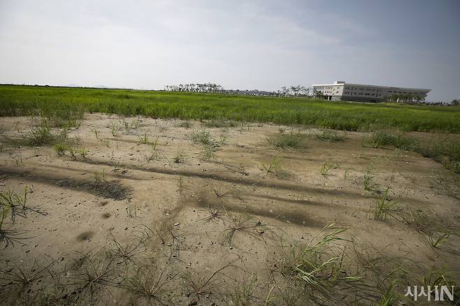 잼버리 대회 1년 후인 2024년 8월6일 델타구역에서 본 글로벌청소년리더센터. 이 건물은 2024년인 올해 6월 공사가 마무리됐다. ⓒ시사IN 이명익