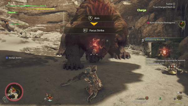 - 집중 모드로 상처 부위를 확인할 수 있다