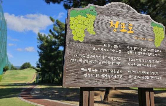 포항 옛 미쯔와 포도원 자리에 해군 골프장이 들어섰다. 군 골프장에도 청포도 시비가 서 있다.