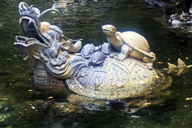 국은사 방생 연못의 용과 거북 조각. ⓒ최종명