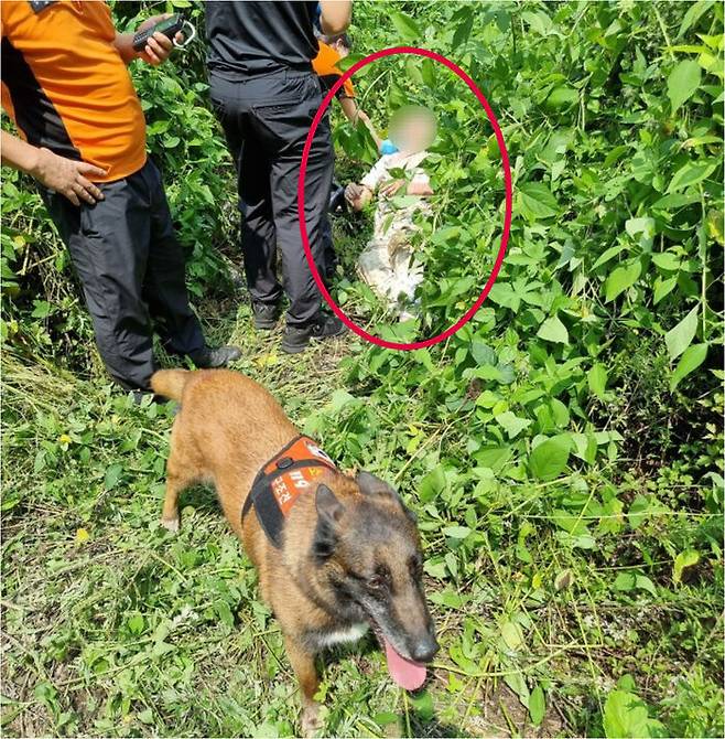 실종 치매환자 발견한 구조견 '전진' (사진=경기도북부소방재난본부 제공, 연합뉴스)