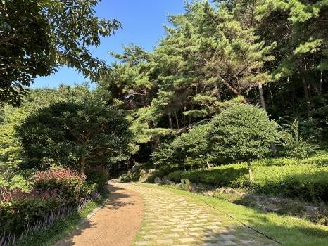 거금생태숲 탐방로 입구 /사진= 강예신 여행+ 기자