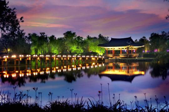 부여 궁남지 야경. 충남도 제공.