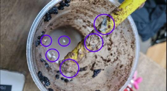 빽다방 음료 속 비닐 조각들.<연합뉴스, 제보자 제공>