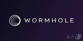 웜홀 로고.