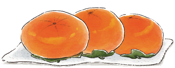 일러스트=이진영