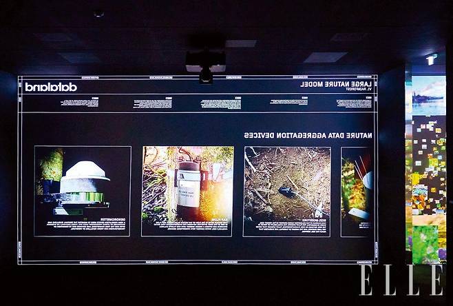 전시의 시작점에서 가장 먼저 만나는 ‘대규모 자연 모델(LNM): 개발 과정 Large Nature Model: process’.