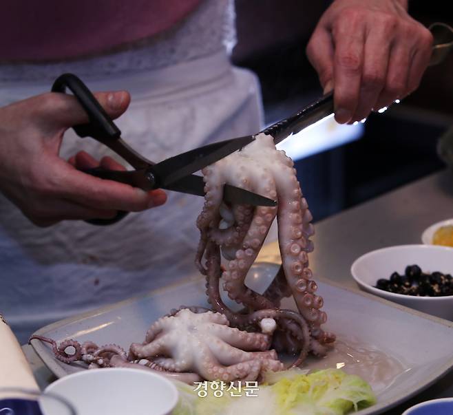 싱싱한 산낙지를 살짝 데쳐 오동통하고 부드러운 낙지숙회. 삶은 배추에 돌돌 말아 입에 넣으면 낙지 육즙이 입안에서 팡 터진다. 서성일 선임기자