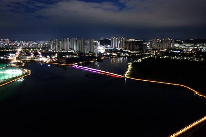 대규모 민간 공동주택단지 개발이 추진중인 충남 천안시 성성동 성성호수공원 일대 야경.