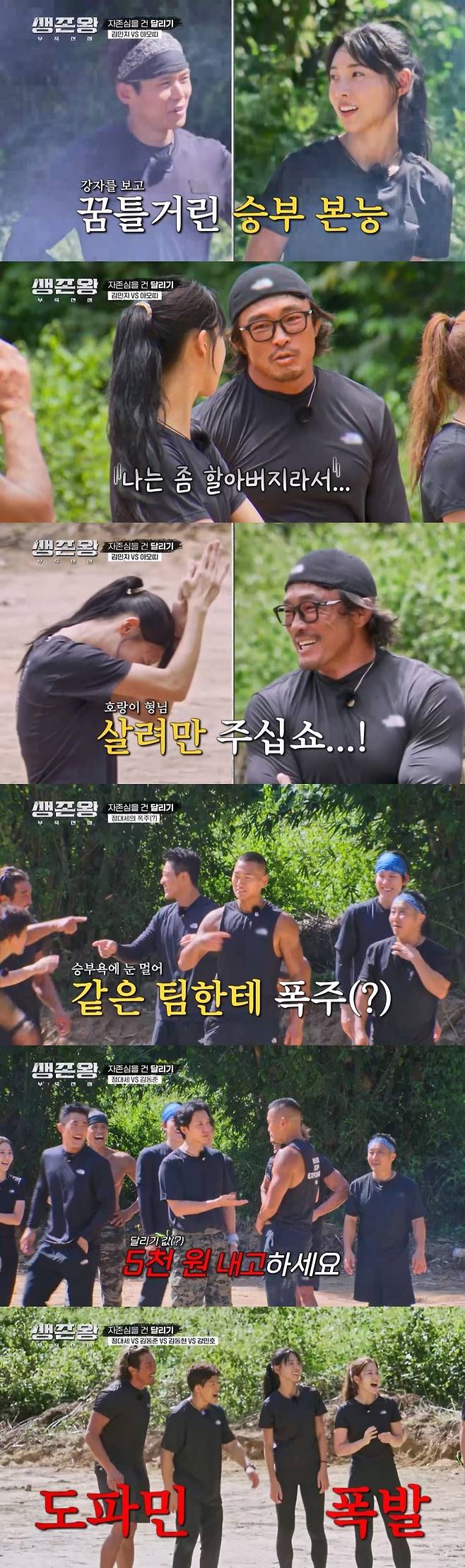 TV CHOSUN 정글 서바이벌 ‘생존왕 : 부족전쟁’