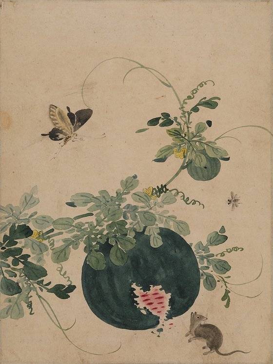 『근역화휘』수록작 중 하나인 조선의 여류화가 월성 김씨의 ‘서과투서’. 신사임당 이후 규방에서 전승되던 초충도 양식의 흐름과 변화를 가늠할 수 있는 작품이다. 간송미술문화재단