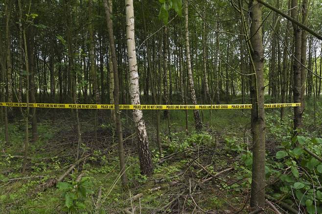 위 사진은 기사 내용과 직접 관련 없음. (사진=게티이미지)