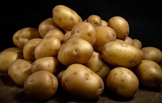 감자와 비슷한 모양을 지닌 토란|출처: 미드저니