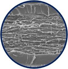이온 교환막 (사진=더블유스코프코리아)