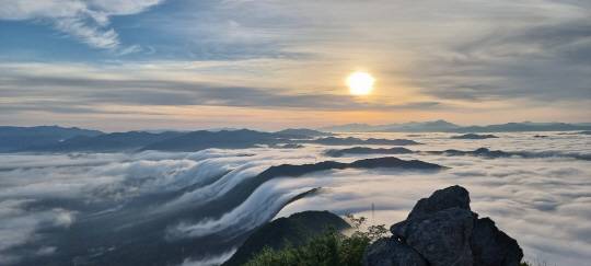 양구봉화산 강원 양구군 봉화산에서 운해가 장관을 이룬 모습. 양구군청 제공