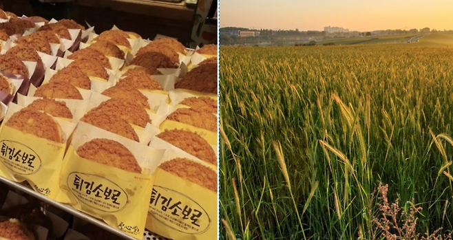 성심당 인스타그램 갈무리, 게티이미지뱅크