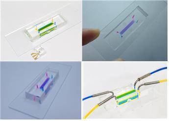 장기칩. 사진 연합뉴스.