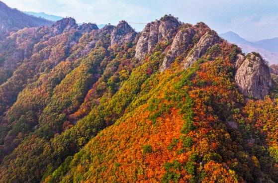 전북 진안군 구봉산이 단풍으로 물드고 있다. 드론으로 촬영한 사진. 사진 진안군. 연합뉴스