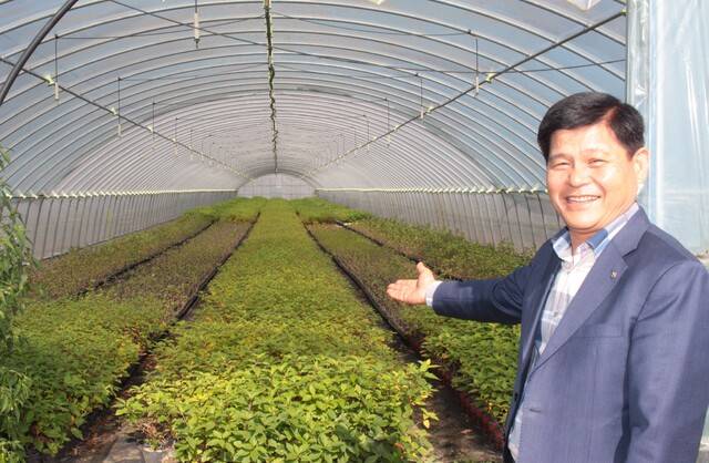 유해광 조합장이 조경수 농가를 찾아 하우스 온실에서 자라고 있는 조경수 묘목을 보여주고 있다.