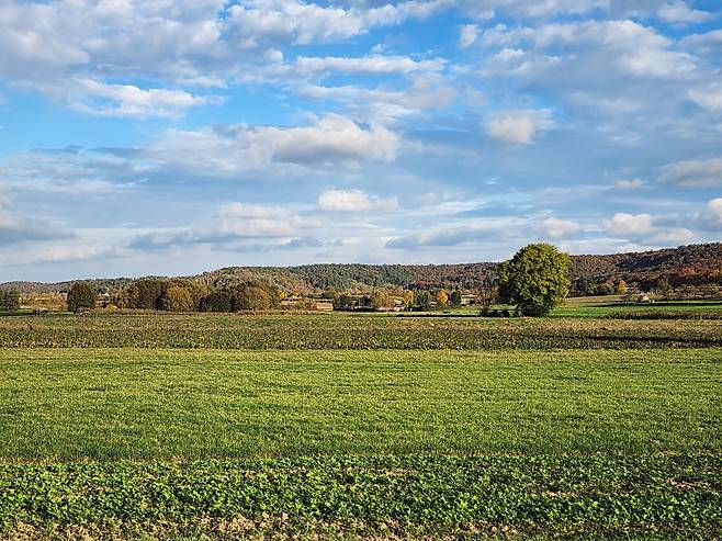 독일의 아우토반을 달리면 저 푸른 초원이 멀리에서 들어오고 아우토반에서 내리면 저 푸른 초원 속으로 들어간다