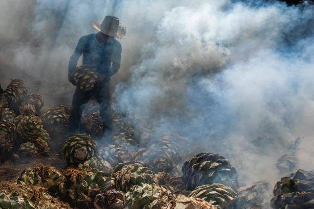 메즈칼은 원료인 아가베의 심을 돌로 만든 구덩이에서 사흘 동안 구운 뒤 발효시켜 만든다. 출처 도스 옴브레스 홈페이지