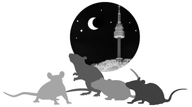 일러스트=송윤혜