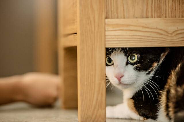 (사진=이미지투데이)