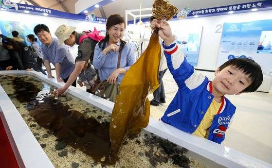 2017년 전남 완도군에서 열린 해조류박람회장을 찾은 어린이가 다시마 등 해산물을 들어 보이고 있다. 중앙포토