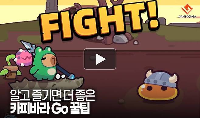 알고 즐기면 더 좋은 카피바라 Go 꿀팁