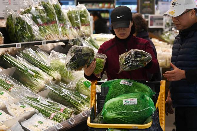 김장철이 다가오는 가운데 20일 오전 세종 금송로 이마트에서 소비자들이 배추와 갓 등 김장 재료 가격을 비교하며 장을 보고 있다. 백동현 기자