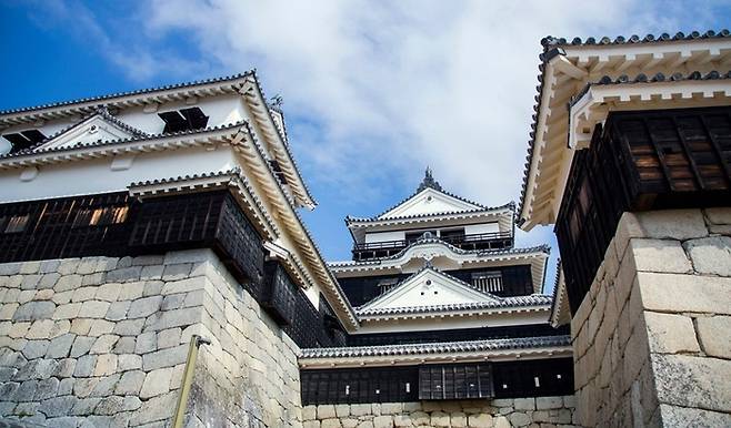일본 국가 중요 문화재로 지정된 마쓰야마 성 / 사진=마쓰야마시 관광 공식 사이트