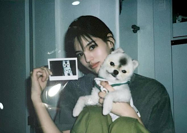 사진=이유정 소셜미디어