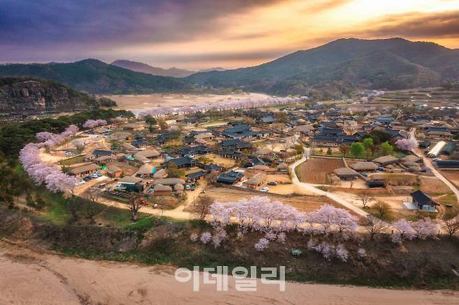 문화체육관광부 장관상을 수상한 김대일 作 ‘안동 하회마을의 봄’ (사진=한국관광공사 제공)