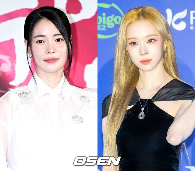 OSEN DB