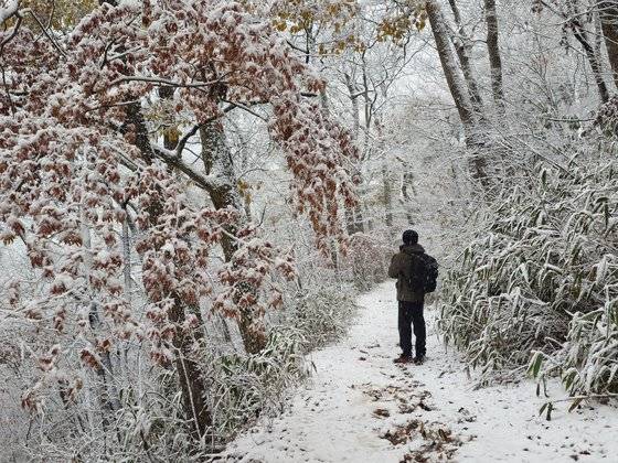 원적암 가는 길에 눈이 펑펑 내렸다. 눈이 그린 설경이 환상적이었다.