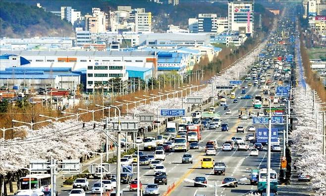 계획도시 창원을 상징하는 창원대로. 창원시 제공