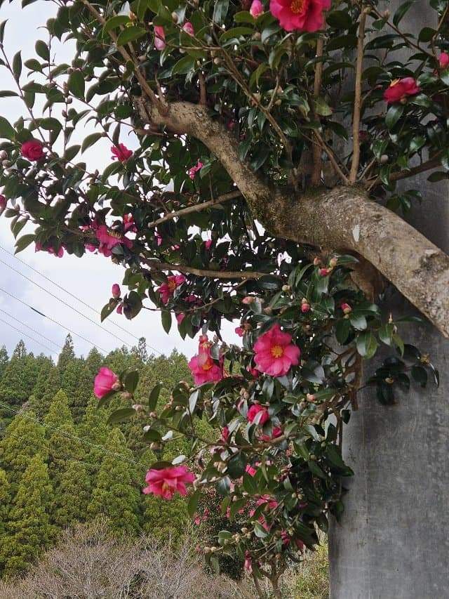 3fb8c32fffd711ab6fb8d38a4183746f6546052d86b4452081bc69896e8aa3147828625df96aa799e192d0d5